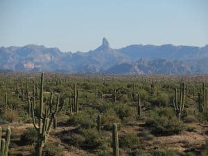 Superstitions Mountains in Mesa, AZ